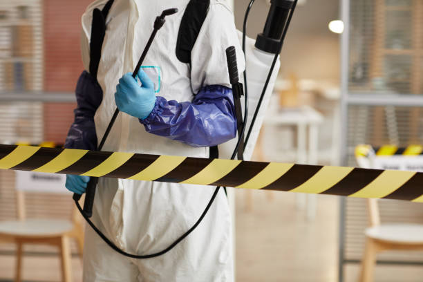 Professional Sewage Cleanup technician working in Chatham, NJ